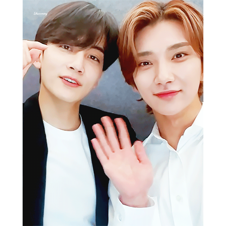 정한 Jeonghan 조슈아 Joshua Weverse 위버스 220401