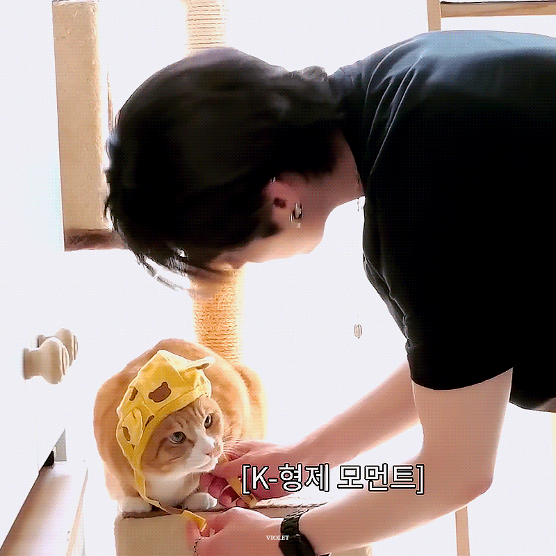 리노 Leeknow 순이 260516 kNOw맘대로 노맘대로