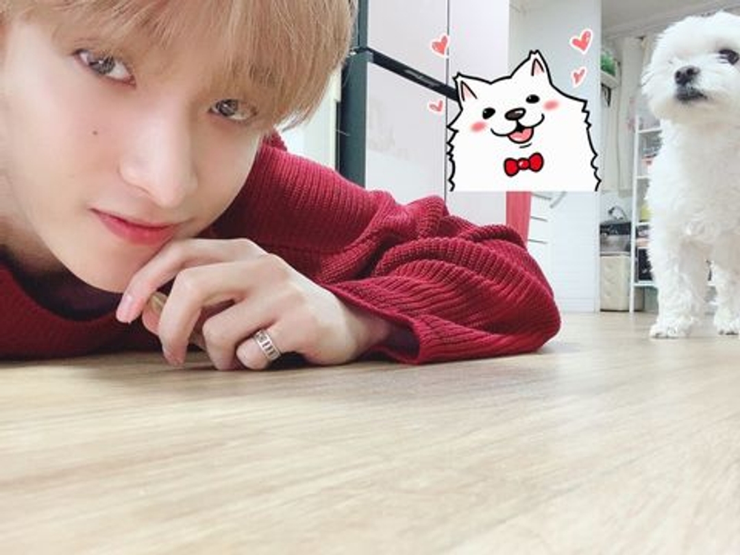 도겸 DK 셀카 Selfie 강아지 20210101 우주